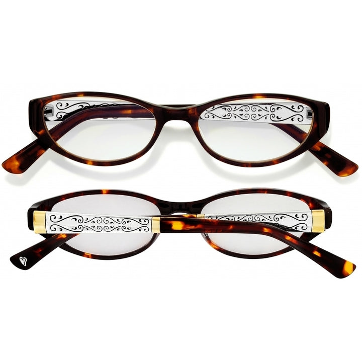 Brighton Venezia Readers - 2.0 Tortoise