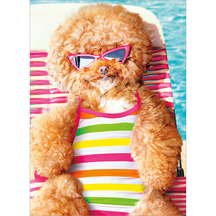 Avanti Press Cool Dog Sunbathing Birthday Card