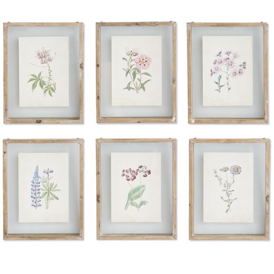 K & K Interiors Botanical Prints in Shadow Box Wood Frame