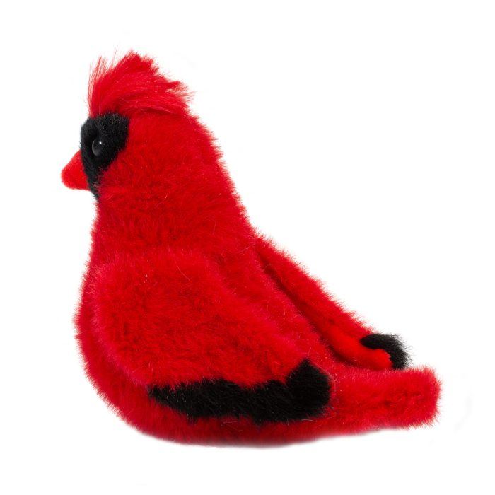 Douglas Carmine Cardinal