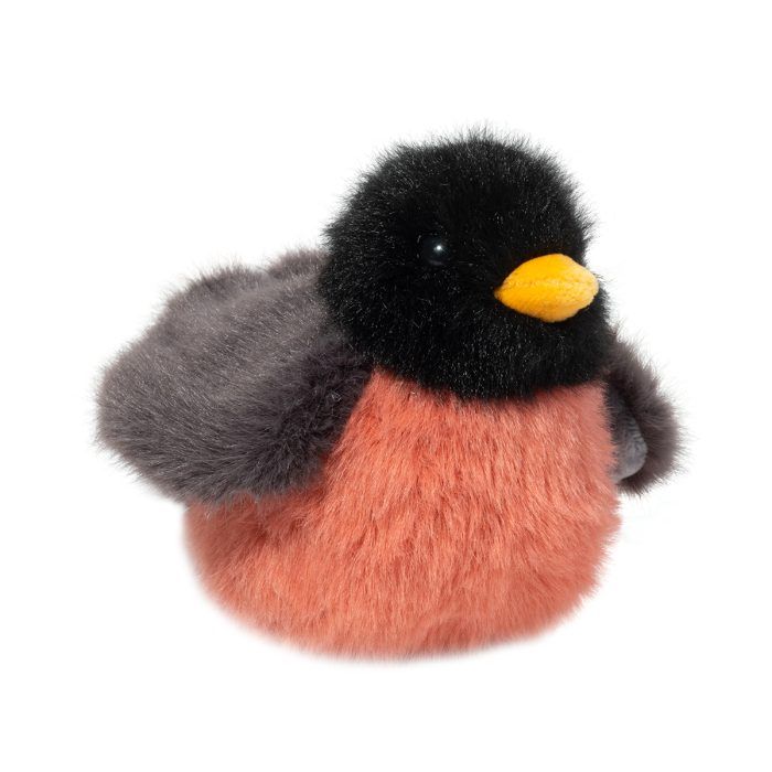 Douglas Melody Robin