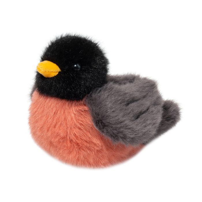 Douglas Melody Robin