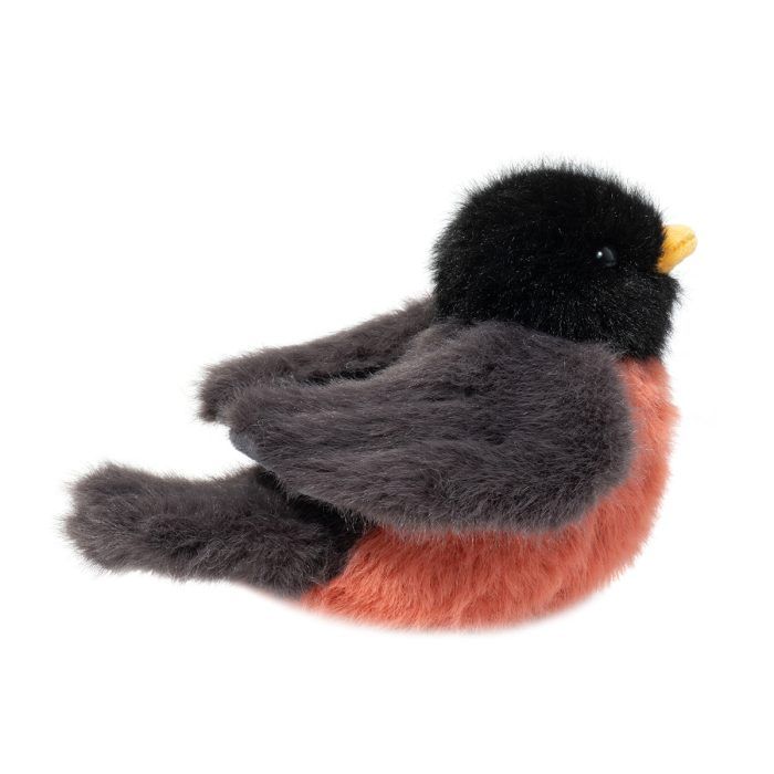 Douglas Melody Robin