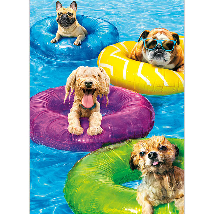 Avanti Press Dog Pool Party Birthday Card