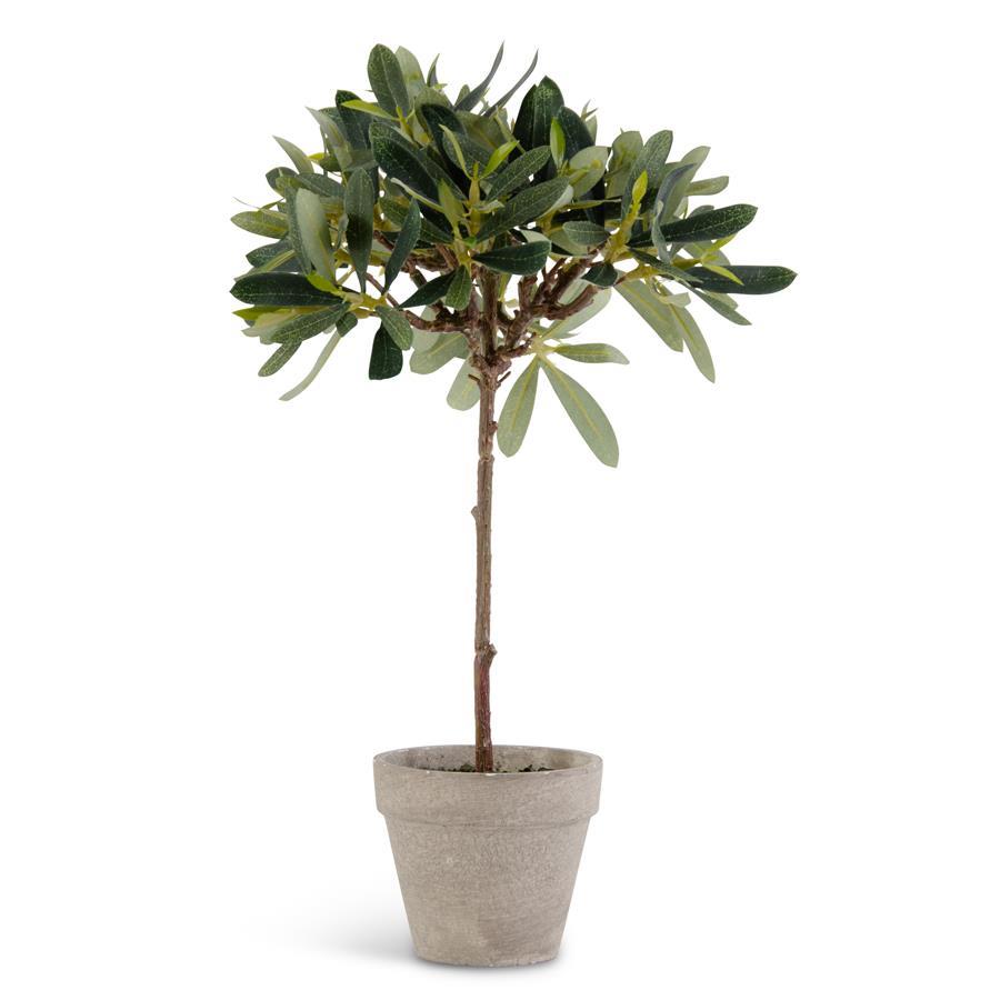 K & K Interiors 13 Inch Potted Olive Tree