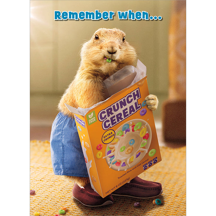 Avanti Press Groundhog Cereal Box Birthday Card