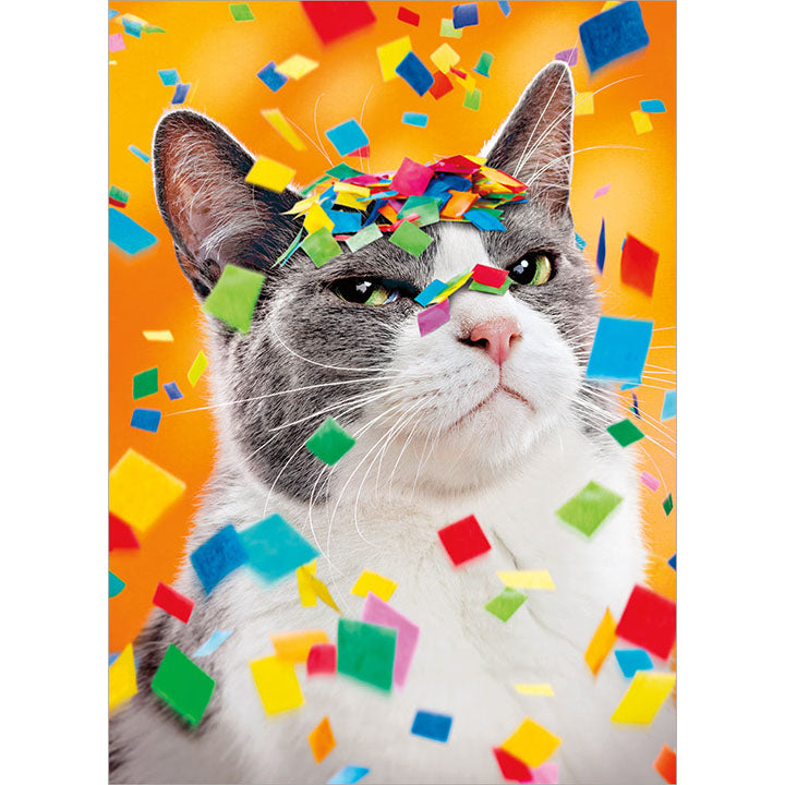 Avanti Press Snarky Confetti Cat Birthday Card