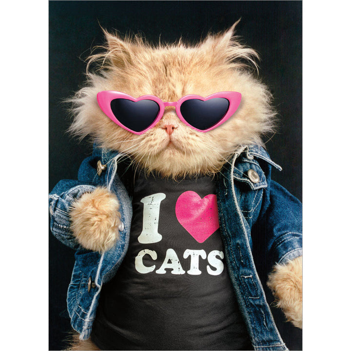 Avanti Press Cool Cat in Denim Jacket Friendship Card