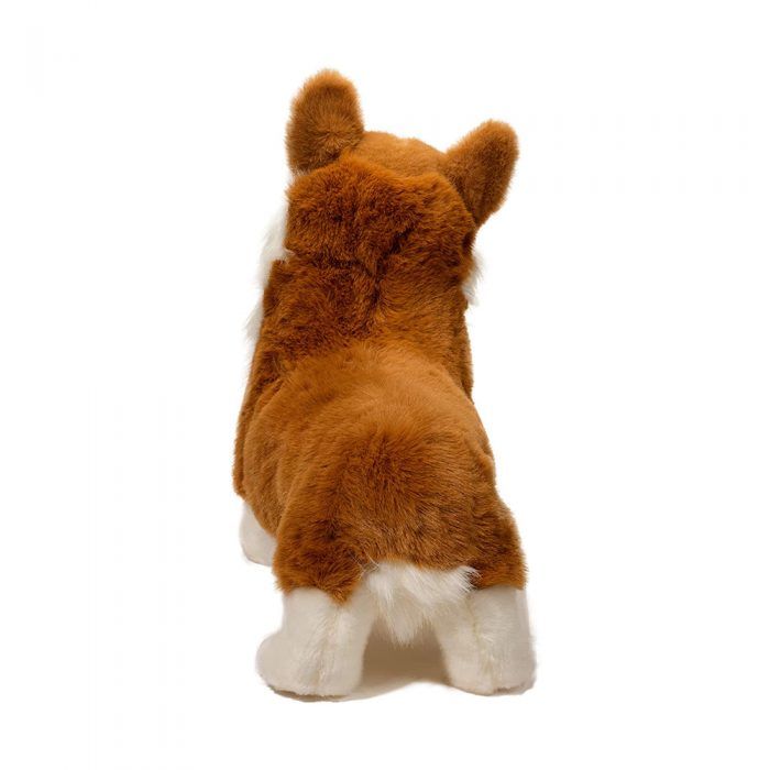 Douglas Chadwick Corgi