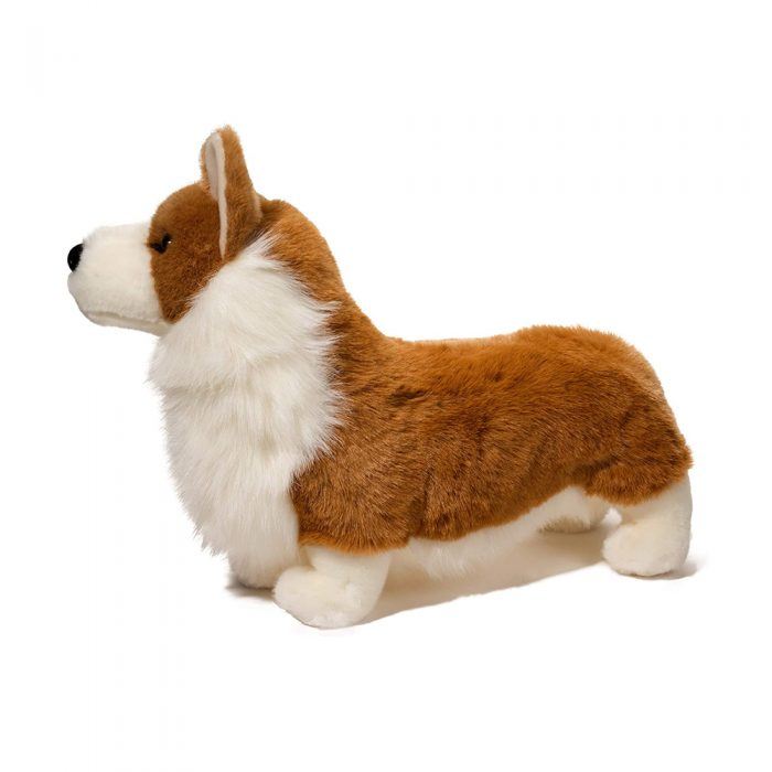 Douglas Chadwick Corgi