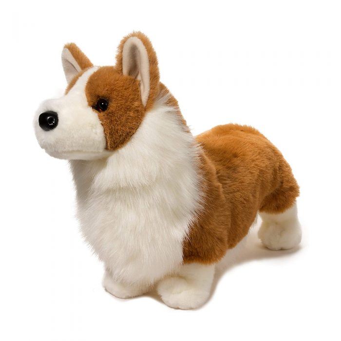 Douglas Chadwick Corgi