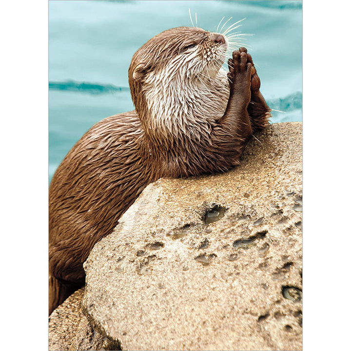 Avanti Press Praying Otter Thank You Card