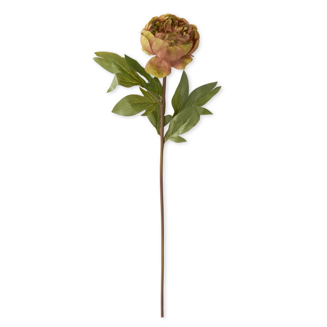 K & K Interiors Faux Dried Green w/Pink Peony Stem