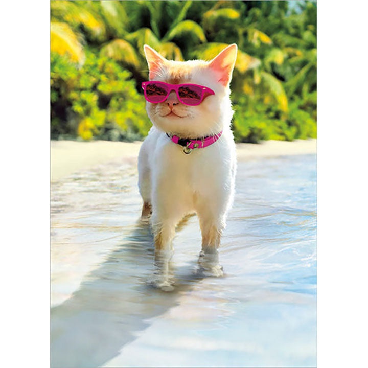 Avanti Press Cat on Beach Birthday Card