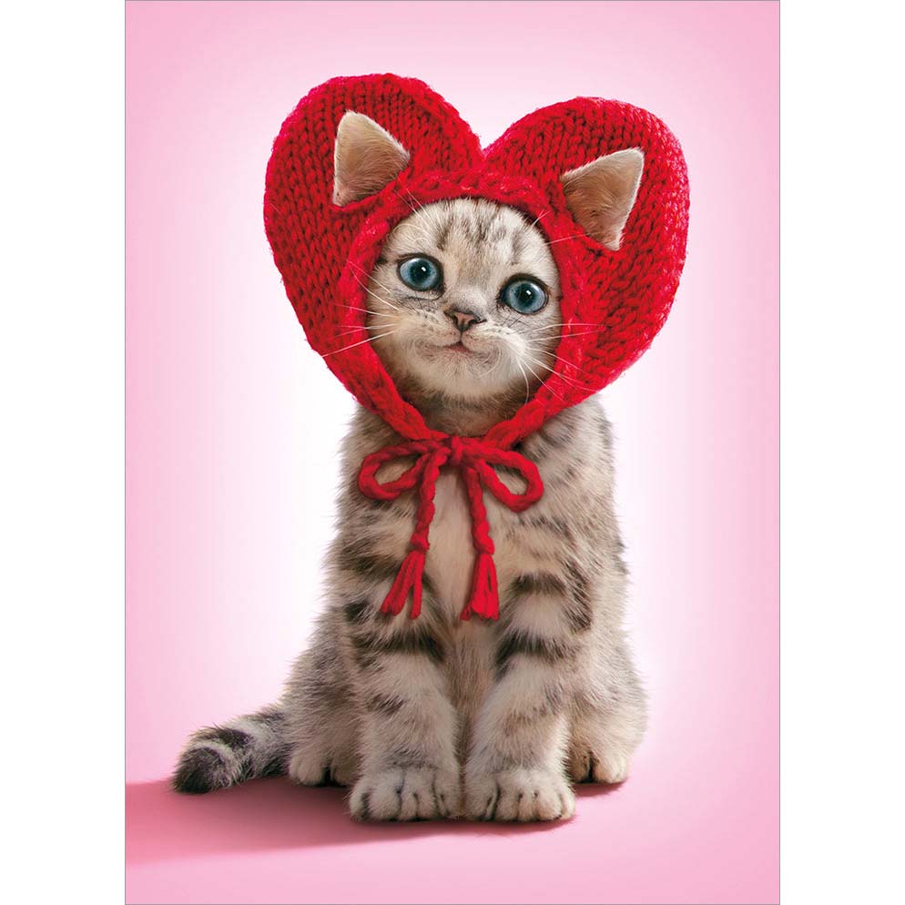 Avanti Press Kitten Knit Heart Hat Valentine's Card