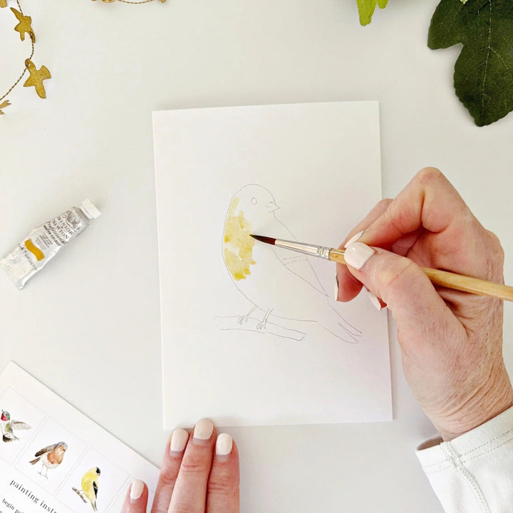 Emily Lex Watercolor Notecard Set - Birds
