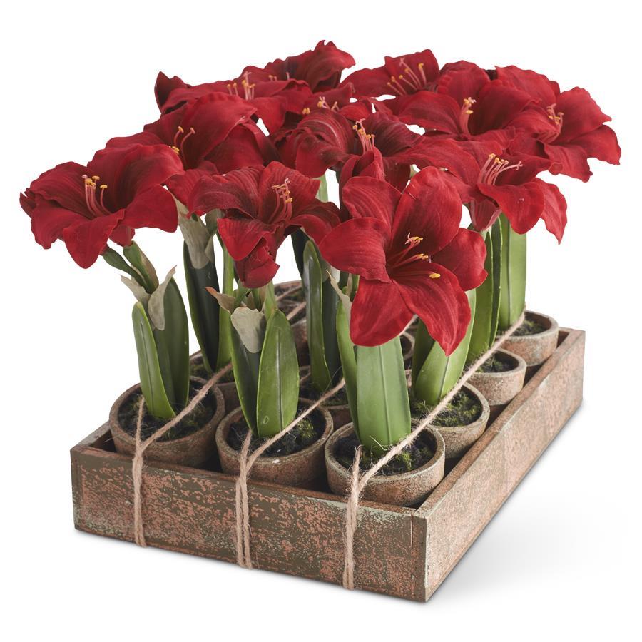 K & K Interiors Potted Red Amaryllis