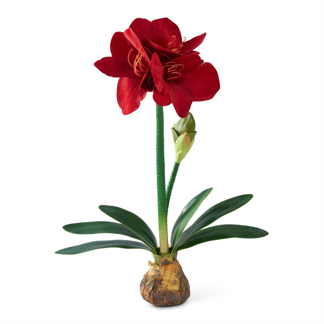 K & K Interiors Red Amaryllis w/Bulb - 25"