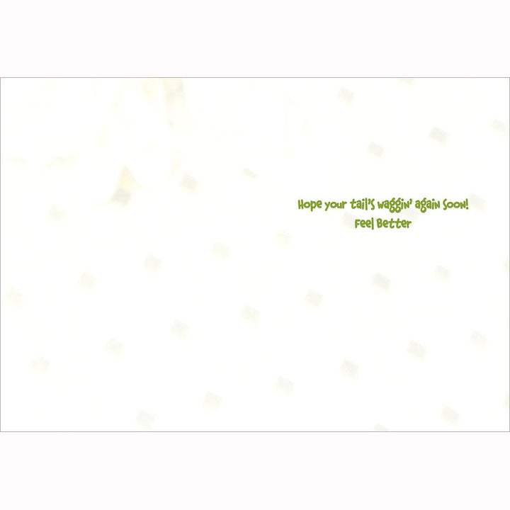 Avanti Press Band Aid Dog Get Well Card