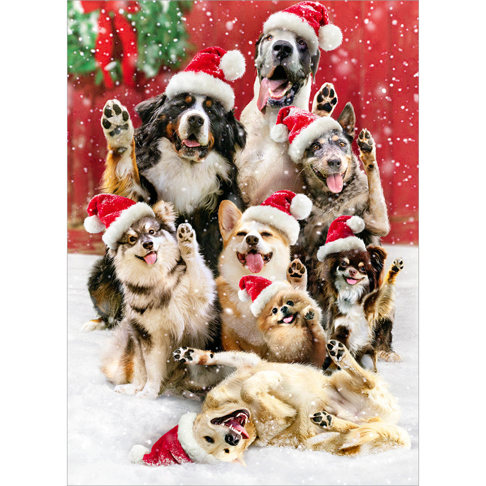 Avanti Press Santa Santa Dogs Waving Christmas Card