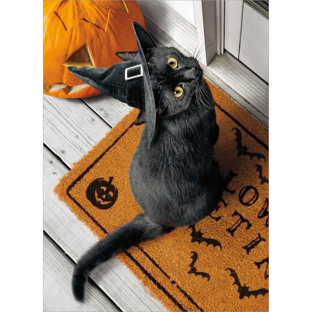 Avanti Press Black Kitten on Halloween Door Halloween Card