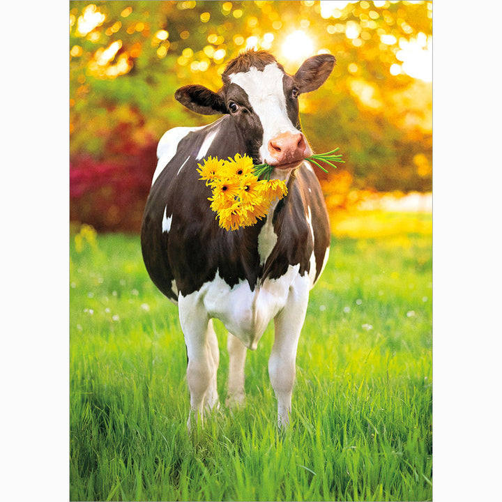 Avanti Press Cow Deliveries Flowers Get Well Card