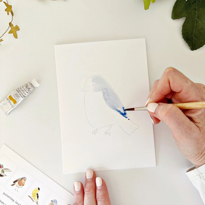 Emily Lex Watercolor Notecard Set - Birds