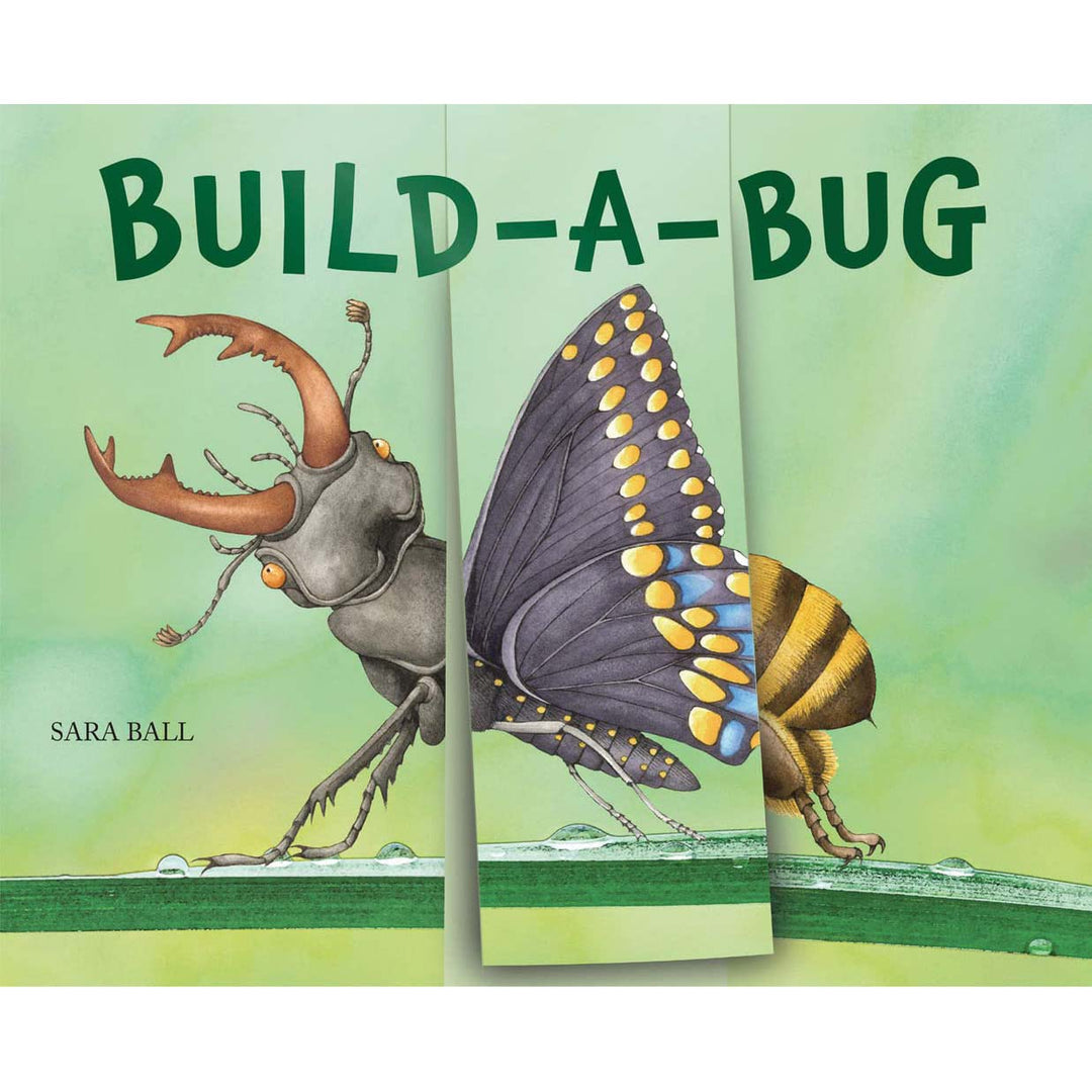 Build-a-Bug: Make Your Own Wacky Insect!