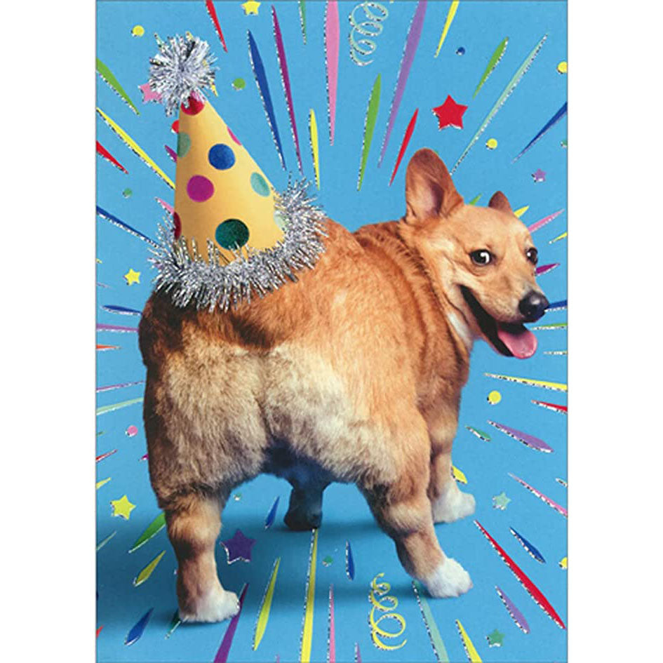 Avanti Press Corgi Butt Birthday Card