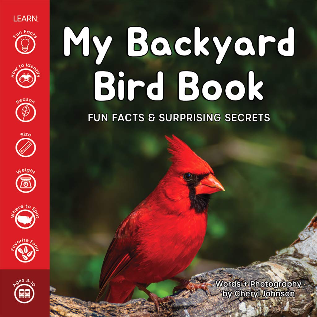 My Backyard Bird Book - A How-To Bird Watching Gift for Kids!