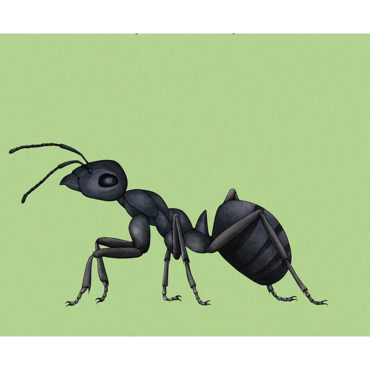 Build-a-Bug: Make Your Own Wacky Insect!