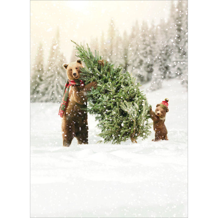 Avanti Press Bear & Cub Christmas Tree Christmas Card