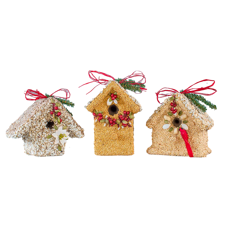 Mr. Bird Poinsettia Birdie Cottage