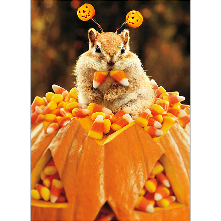 Avanti Press Chipmunk Candy Corn Halloween Card