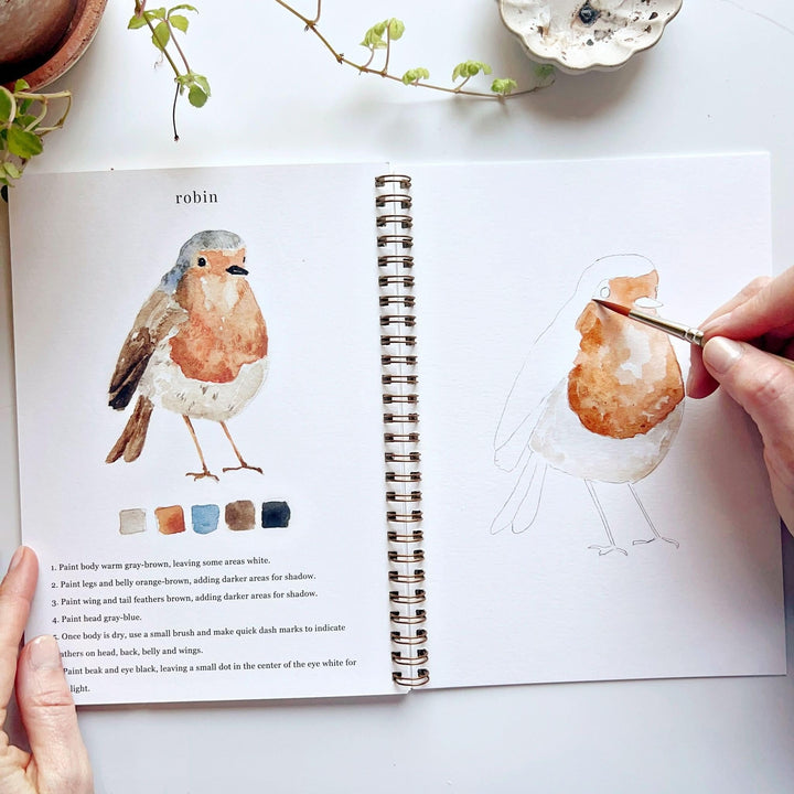 Emily Lex Watercolor Workbook - Birds