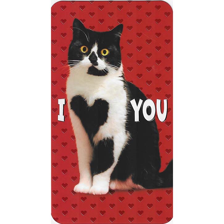 Avanti Press I Heart You Cat Valentine's Card (Embellished)