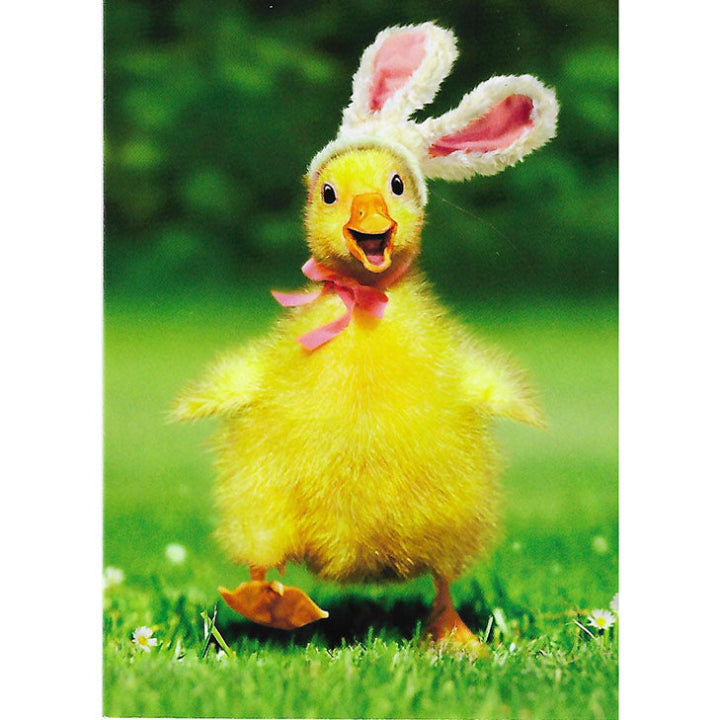 Avanti Press Duckling Bunny Easter Card