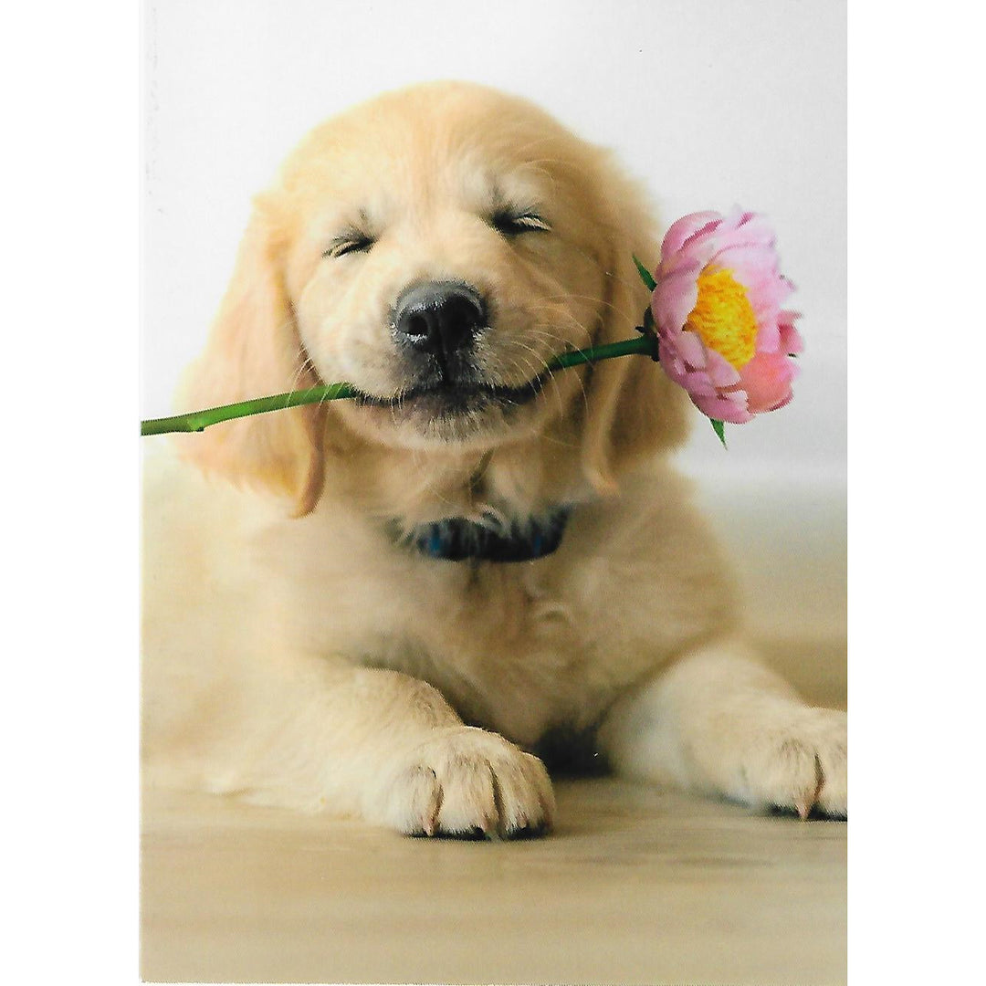 Avanti Press Golden Puppy with Pink Flower Mother's Day Card