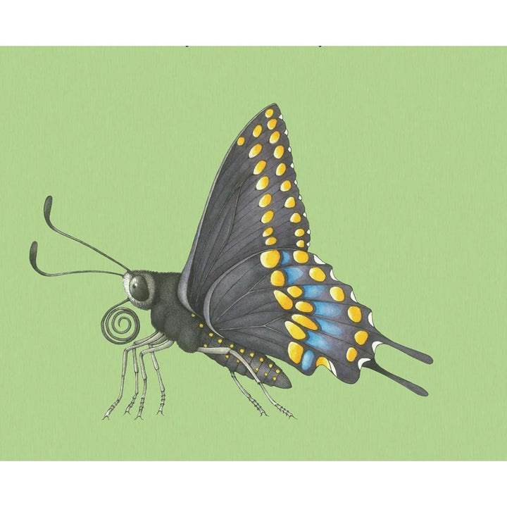 Build-a-Bug: Make Your Own Wacky Insect!