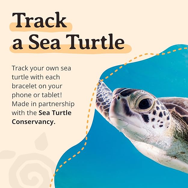 Fahlo The Journey Bracelet - Sea Turtle