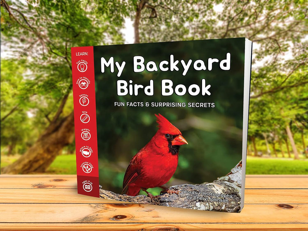 My Backyard Bird Book - A How-To Bird Watching Gift for Kids!