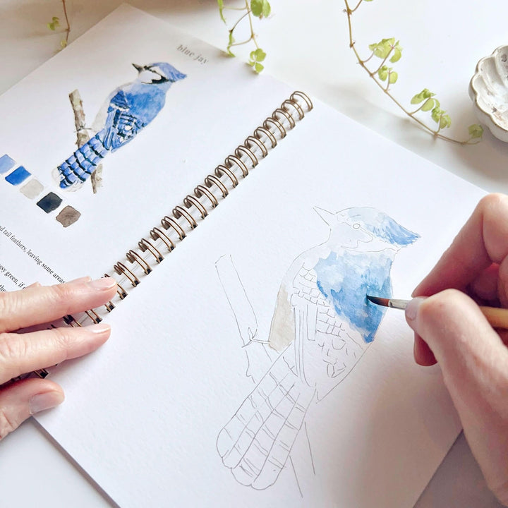 Emily Lex Watercolor Workbook - Birds