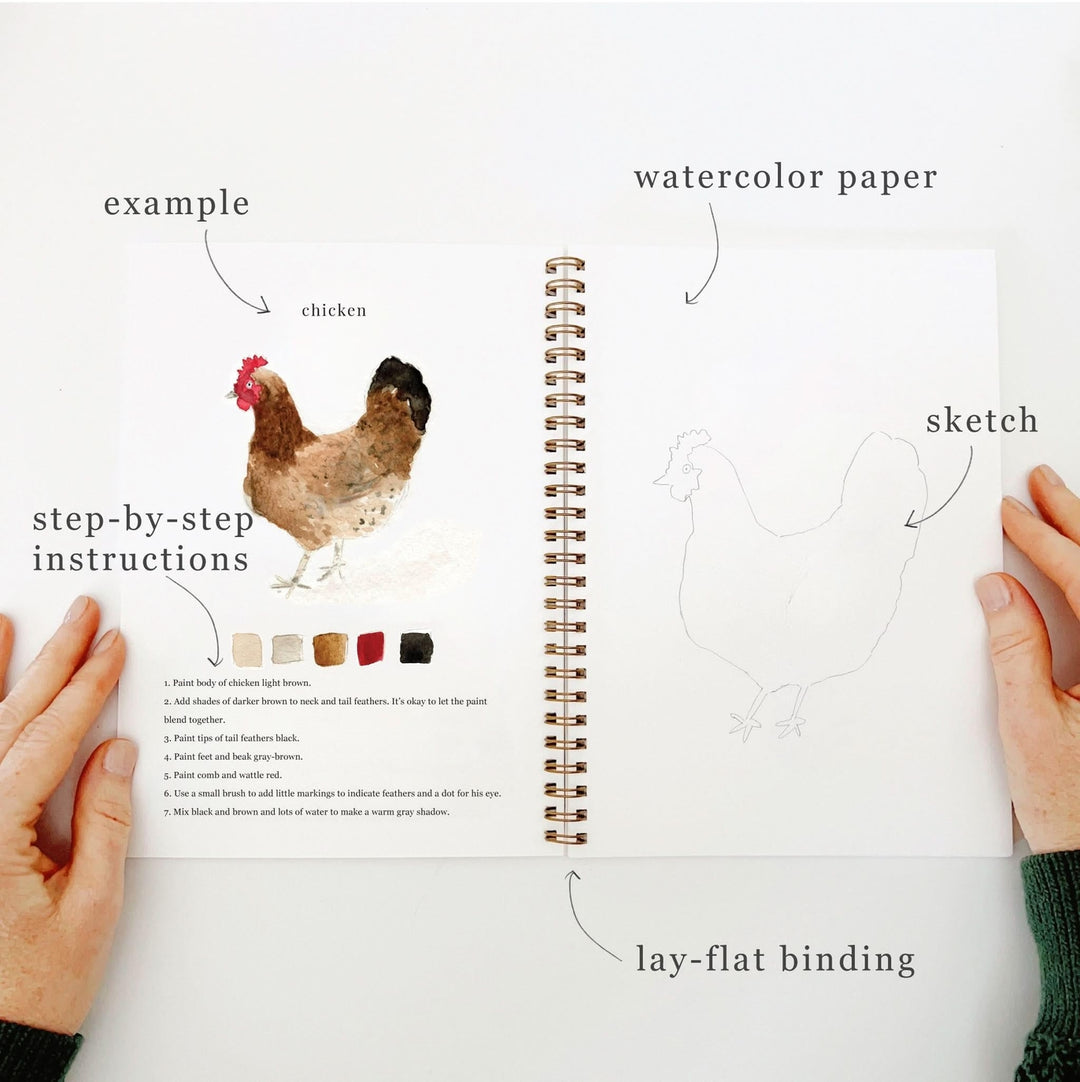 Emily Lex Watercolor Workbook - Animals