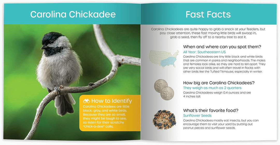 My Backyard Bird Book - A How-To Bird Watching Gift for Kids!