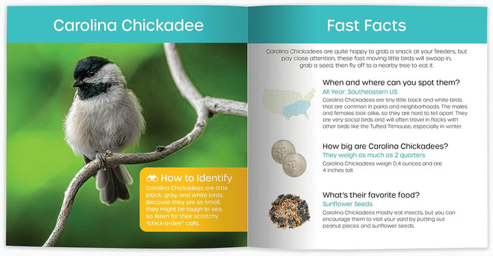 My Backyard Bird Book - A How-To Bird Watching Gift for Kids!