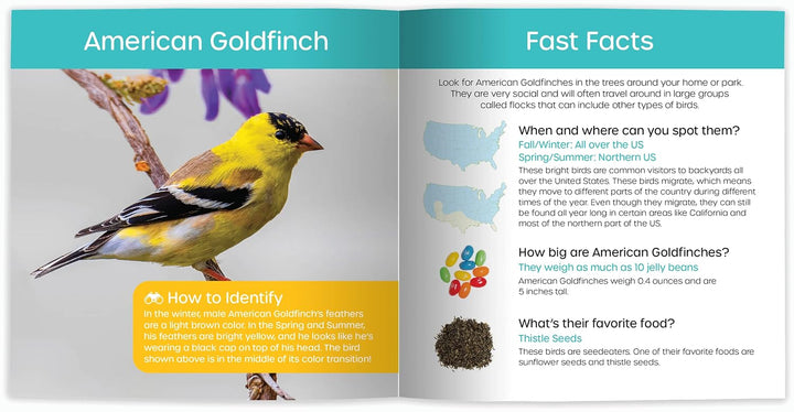 My Backyard Bird Book - A How-To Bird Watching Gift for Kids!