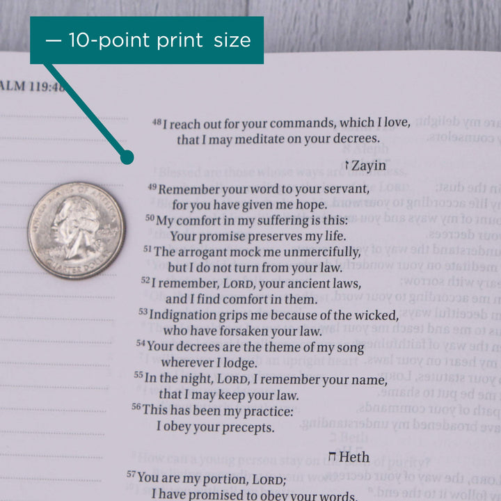 NIV, Beautiful Word Coloring Bible, Large Print