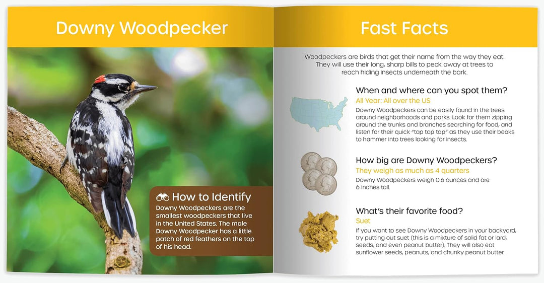 My Backyard Bird Book - A How-To Bird Watching Gift for Kids!