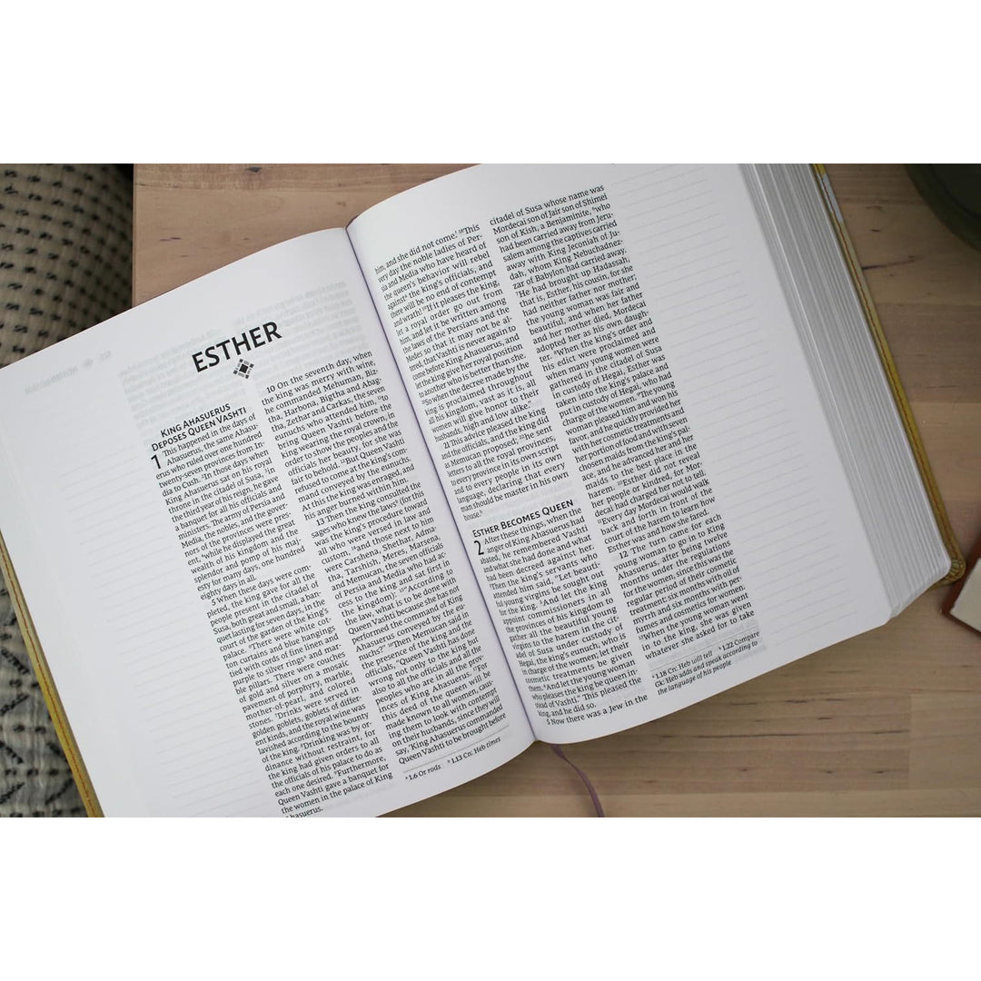 Anne Neilson NRSVue Leathersoft Holy Bible