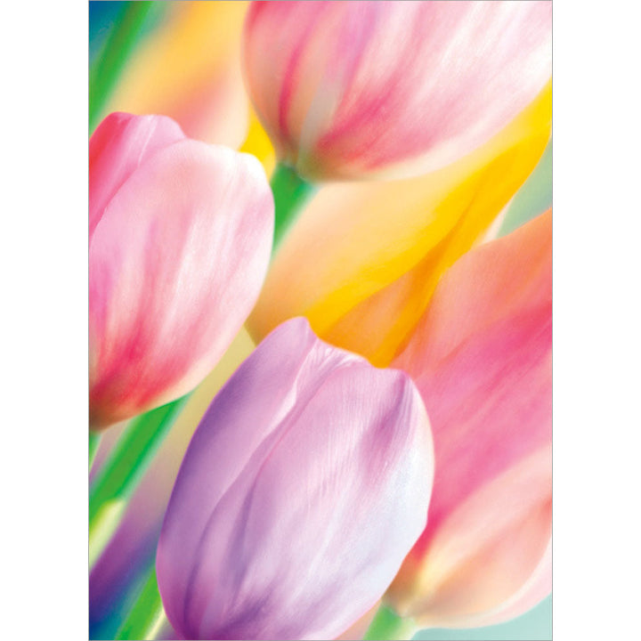Avanti Press Rainbow Tulips Blank Card